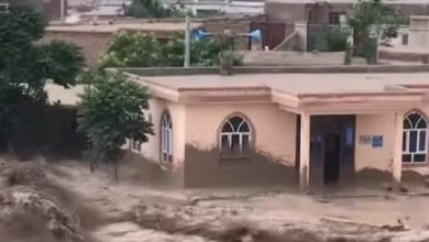 افزایش تلفات سیلابها در کشور؛ آمار جان باختگان به ۲۳۰ تن رسید 6 FB IMG 1715410957008