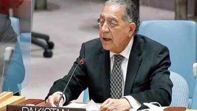 نماینده پاکستان در سازمان ملل: گروههای تروریستی در خراسانافغانستان از مصونیت برخوردار اند 8 4294325