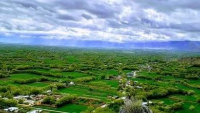 ادامه حملات جبهه مقاومت ملی بر گروه طالبان؛ ۴ جنگجوی گروه طالبان در پروان کشته و زخمی شدند 7 FB IMG 1719081731031
