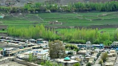 Khost w Fringh