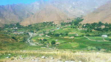 گروه طالبان در پنجشیر دست یک تن را به اتهام دزدی قطع کردند 5 Panjshir.jpg1