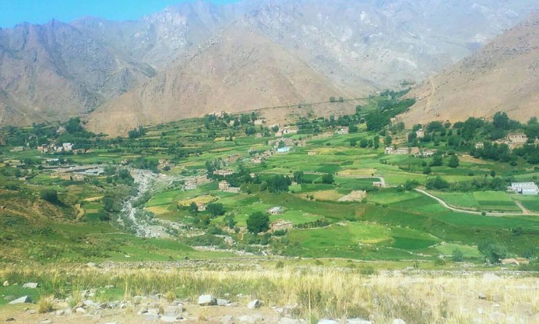 گروه طالبان در پنجشیر دست یک تن را به اتهام دزدی قطع کردند 1 Panjshir.jpg1