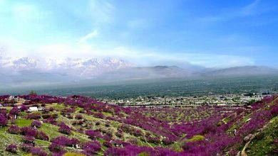 Parwan1