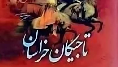 کتاب تاریخ تاجیکان خراسان در بنیاد شهید مسعود-مشهد، رونمایی شد 4 Tajikan Khurasan 3 721x1024 1