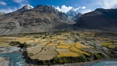 طالبان به دنبال حذف اقلیت ها در افغانستان 3 FrontLines Environment Photo Contest Winner 5 5808476109
