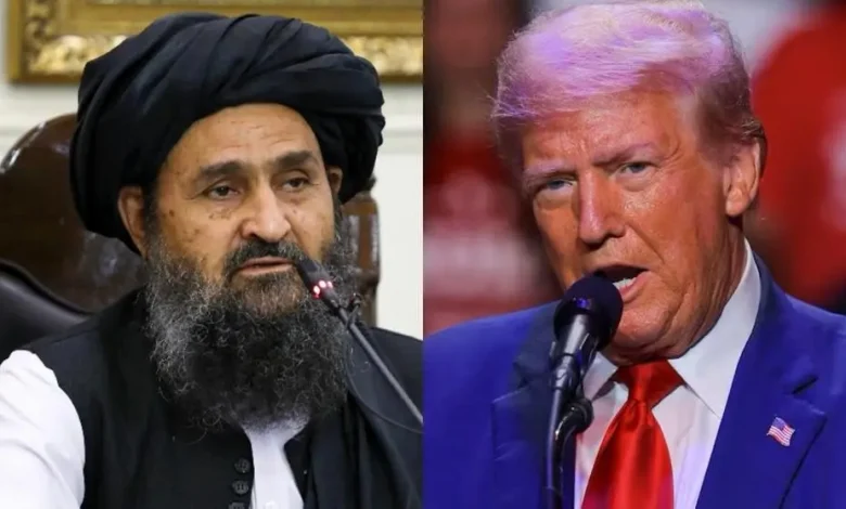 مایکل کوگلمان: ترامپ احتمالاً از مبارزۀ طالبان با داعش حمایت کند! 1 ترامپ و ملا برادر