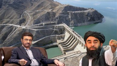 انتقاد مقامات ایرانی به سدسازی طالبان 7 مالکی