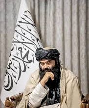 حقانی