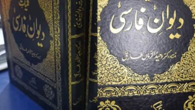 یادداشتی مختصر بر «دیوان فارسی» دکتر وحیدالزمان طارق 6 InShot 20250513 142127595