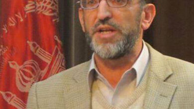 قومگرائی ته اش خالی است 4 Mansoor 531x562 1